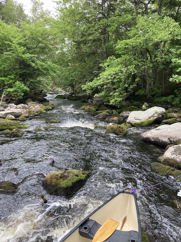 Canoeing on a Rocky River